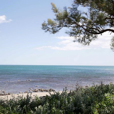 Apartament Centre Port,Vue Panoramique,Clim,Balcon,Wifi Agde Zewnętrze zdjęcie