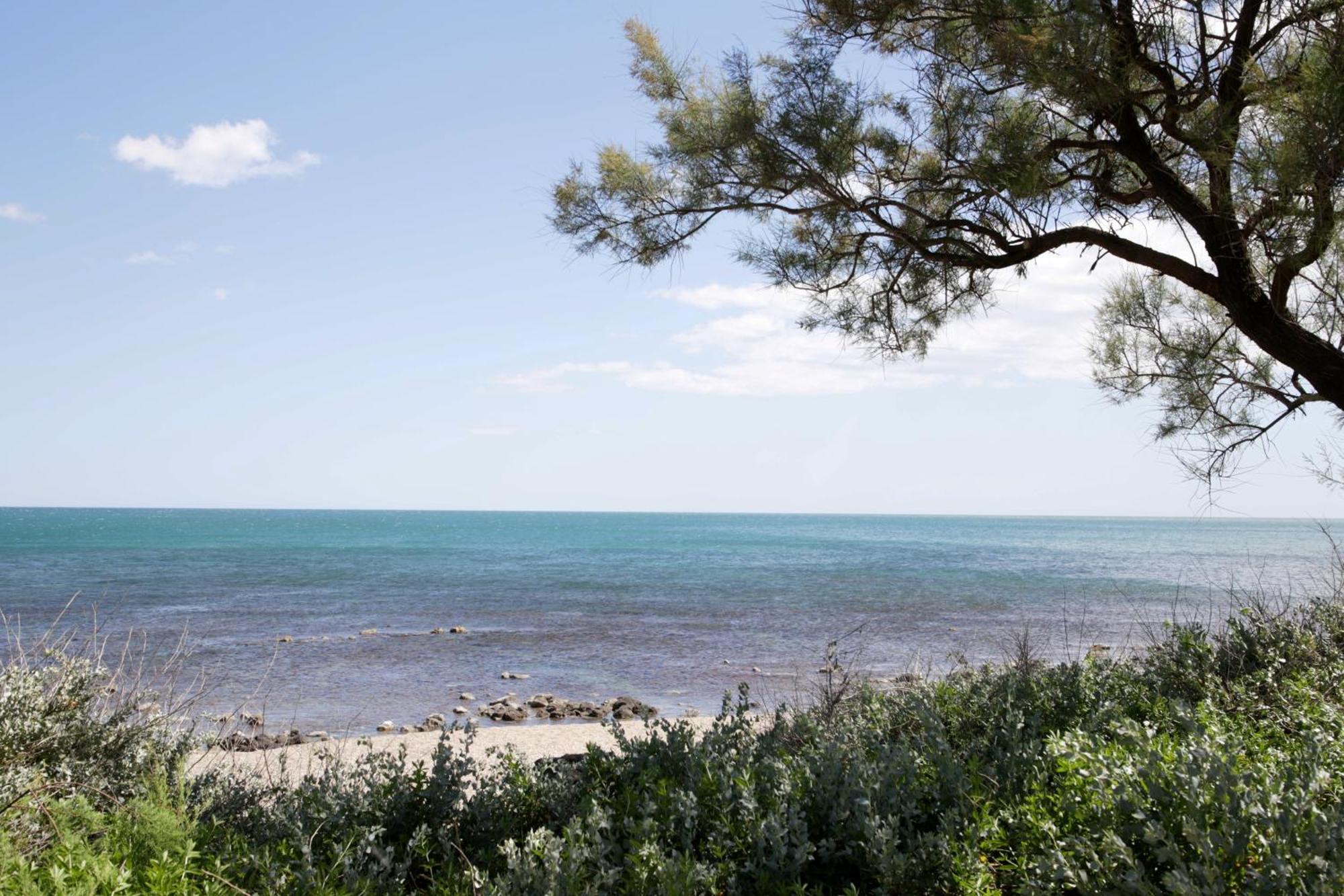 Apartament Centre Port,Vue Panoramique,Clim,Balcon,Wifi Agde Zewnętrze zdjęcie
